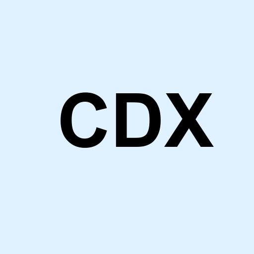 Stock cdx logo