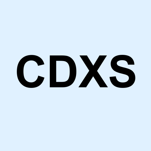 Stock cdxs logo