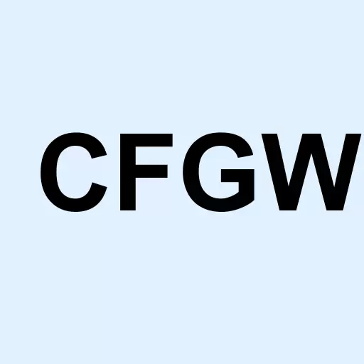 Commuty Fincl Grp Wash Logo