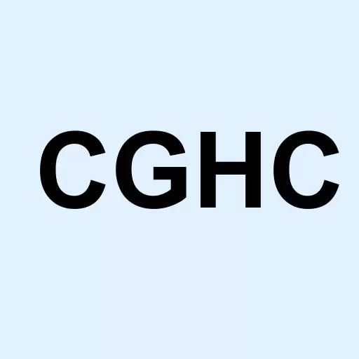Capital Group Hldgs Inc Logo