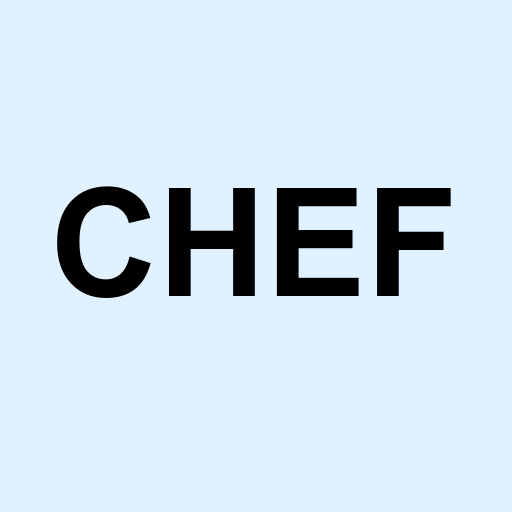 Stock chef logo