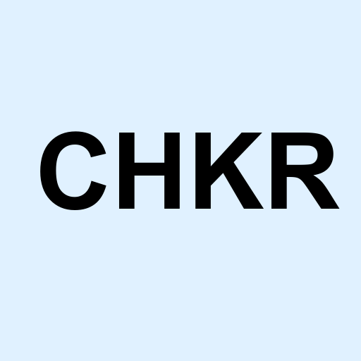 Stock chkr logo