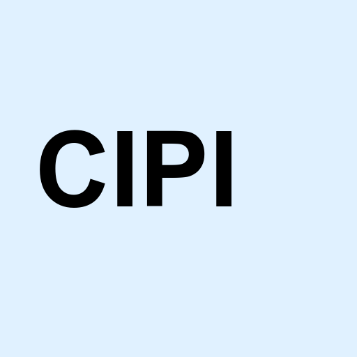 Stock cipi logo