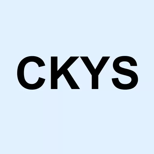 Cyberkey Solutions Inc Logo