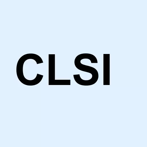 Clancy Sys Intl Inc Logo