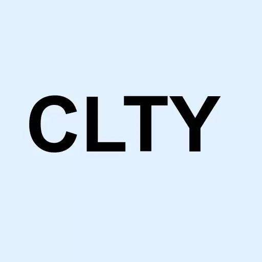 Celerity Solutions Inc Logo