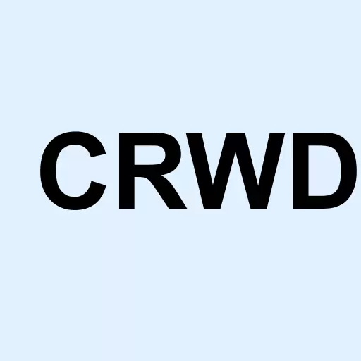 CrowdStrike Holdings Inc. Logo