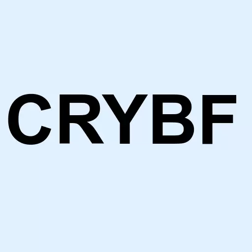 Cryptobloc Technologies Logo