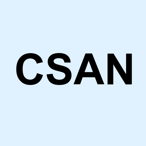 Stock csan logo