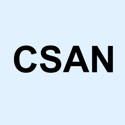 Cosan S.A. ADR Logo