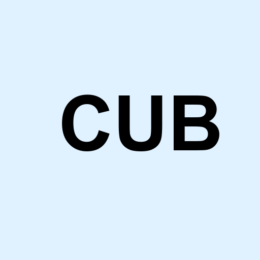 Stock cub logo