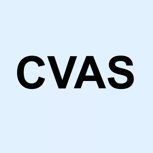 Creative Vistas Inc Logo