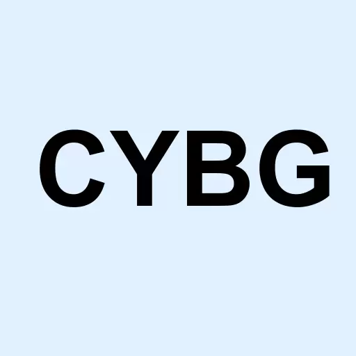 Cybergy Holdings Inc Logo
