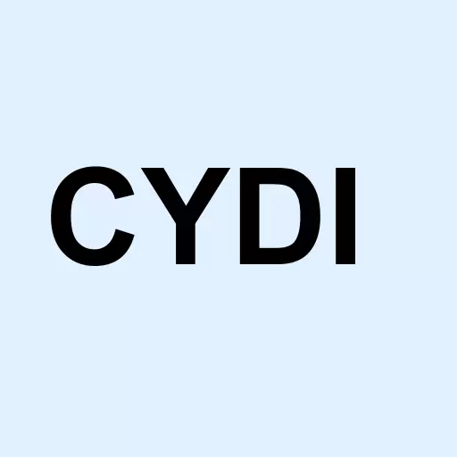 Cybrdi Inc Logo