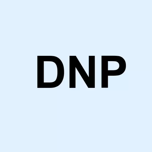 DNP Select Income Fund Inc. Logo