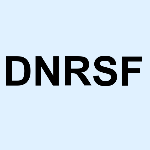 Stock dnrsf logo