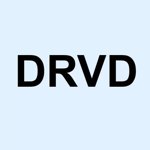 Driven Deliveries Inc Logo