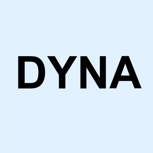 Dynastar Holdings Inc Logo