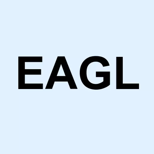 Platinum Eagle Acquisition Corp. Logo