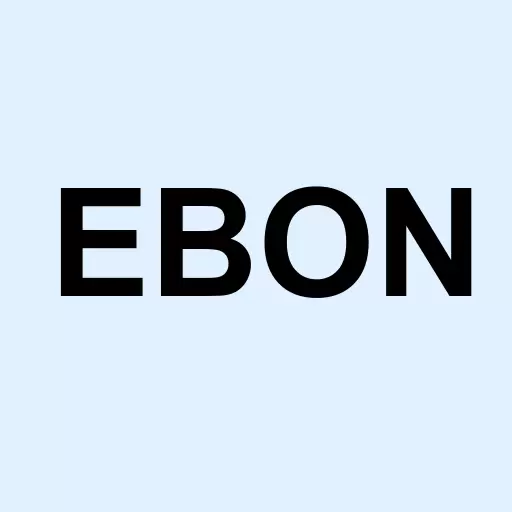 Ebang International Holdings Inc. Logo