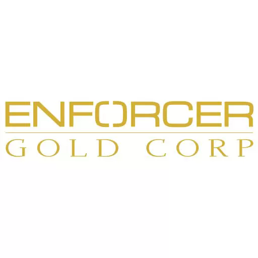 Enforcer Gold Logo