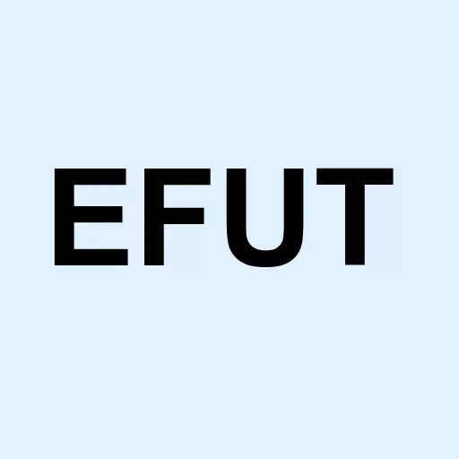 eFuture Holding Inc. Logo
