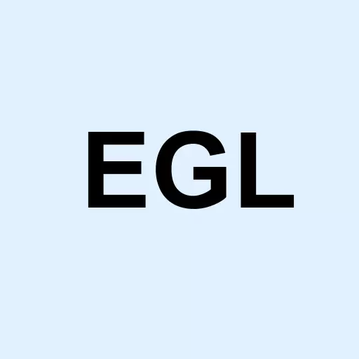 Engility Holdings Inc. Logo