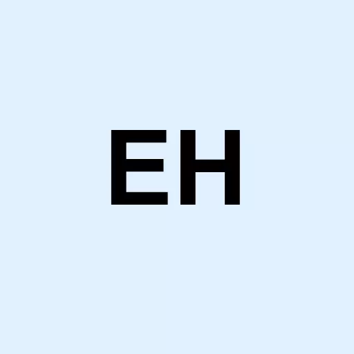 EHang Holdings Limited Logo