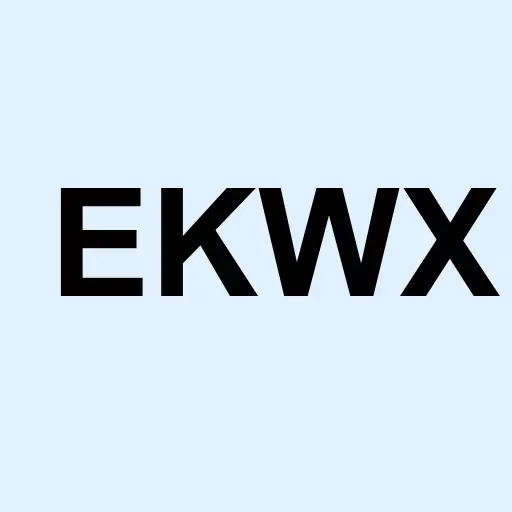 Ekwan-X Inc Logo