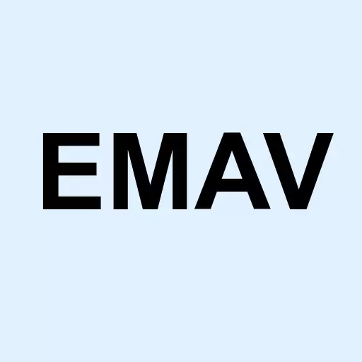 Emav Holdings Inc Logo