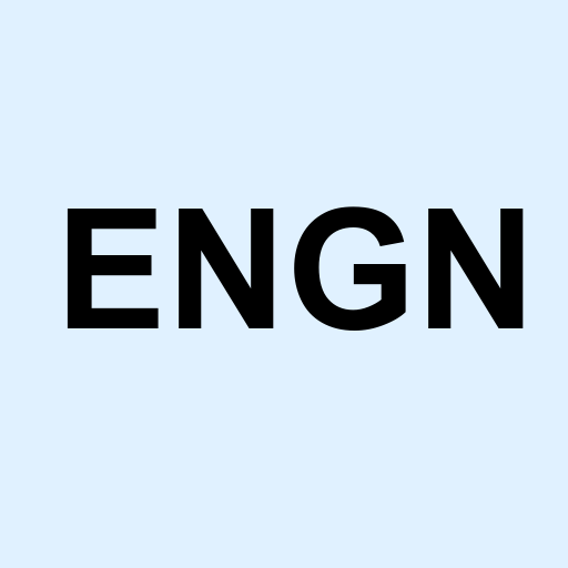 Stock engn logo