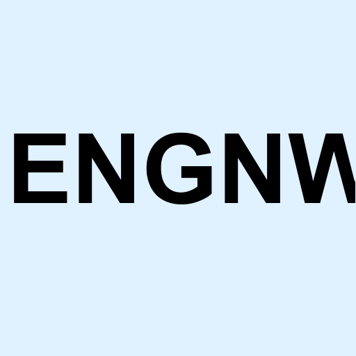 Stock engnw logo