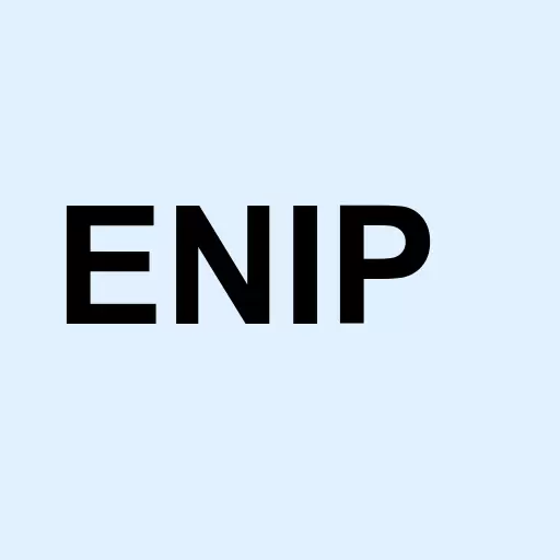 Endeavor IP Inc Logo
