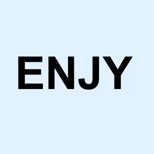 Enjoy Technology Inc. Logo