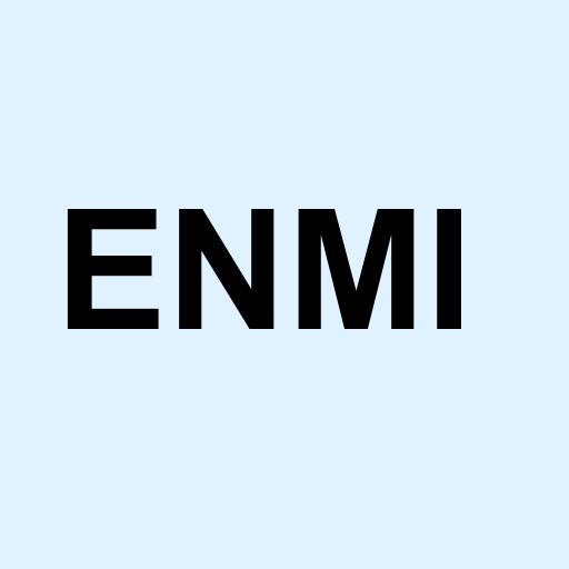 Stock ENMI logo