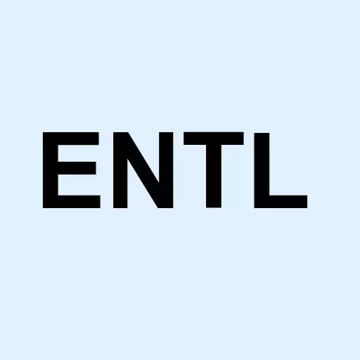Entellus Medical Inc. Logo