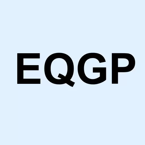 EQGP Holdings, LP Logo