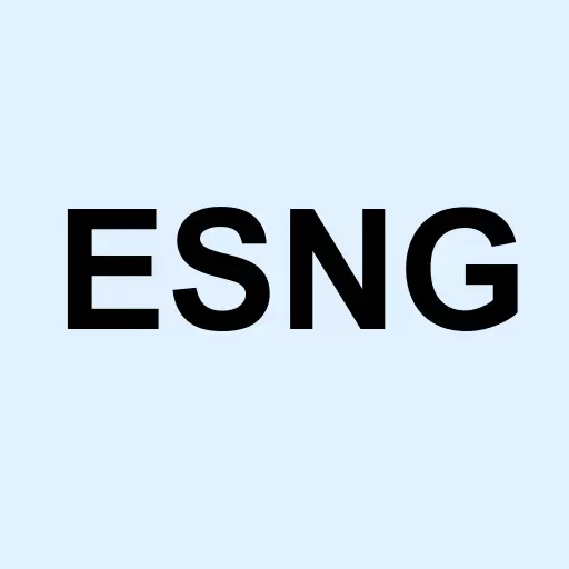 Direxion MSCI USA ESG - Leaders vs. Laggards ETF Logo