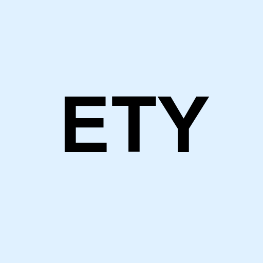 Stock ety logo