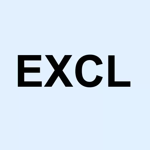 Excellerant Inc Logo