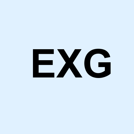Stock exg logo