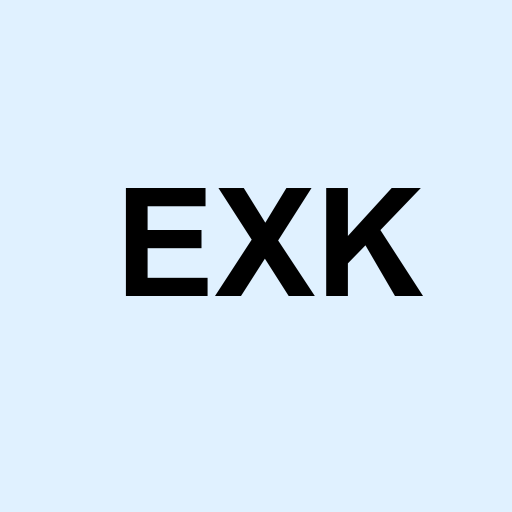 Stock exk logo