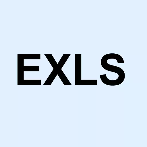ExlService Holdings Inc. Logo