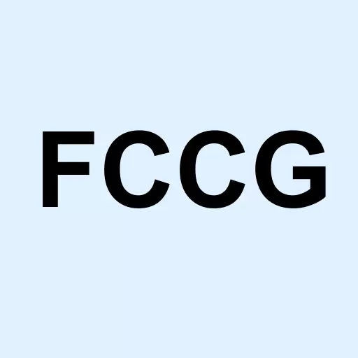 Fog Cutter Capital Group Logo