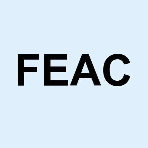 Stock feac logo