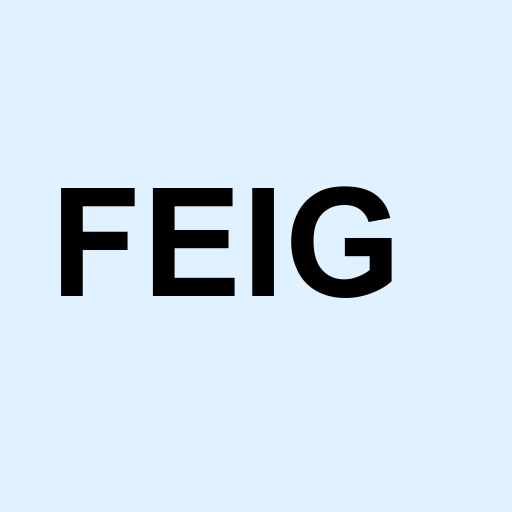 Stock FEIG logo