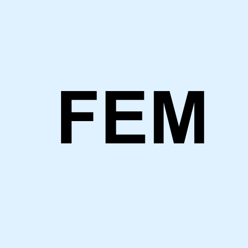 Stock FEM logo