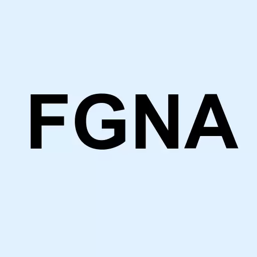 FG New America Acquisition Corp. Class A Logo