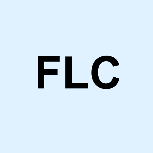 Stock flc logo
