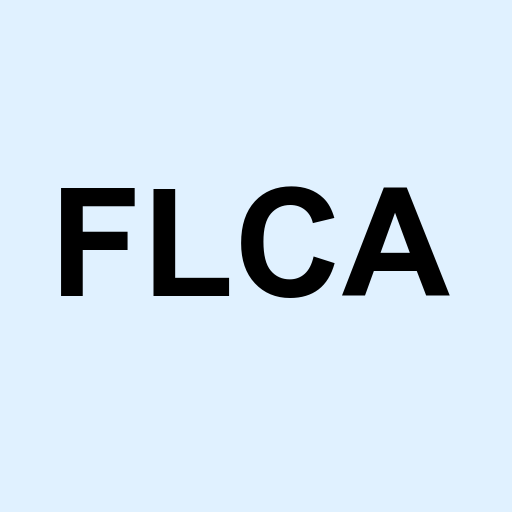 Stock flca logo